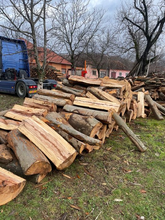 Lemne de foc de cea mai bună calitate