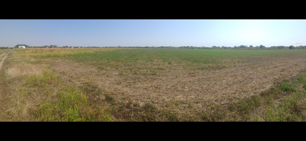 Teren intravilan Săbăreni, lângă București