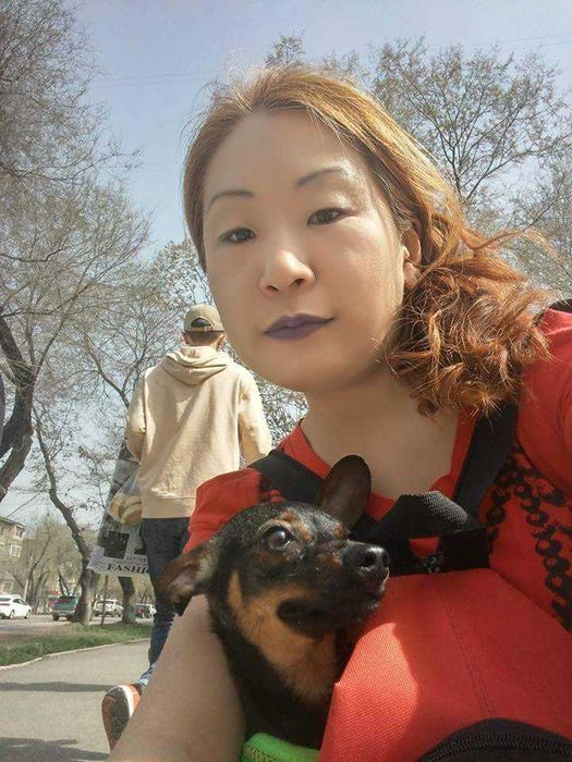 Пропала собачка вознаграждение