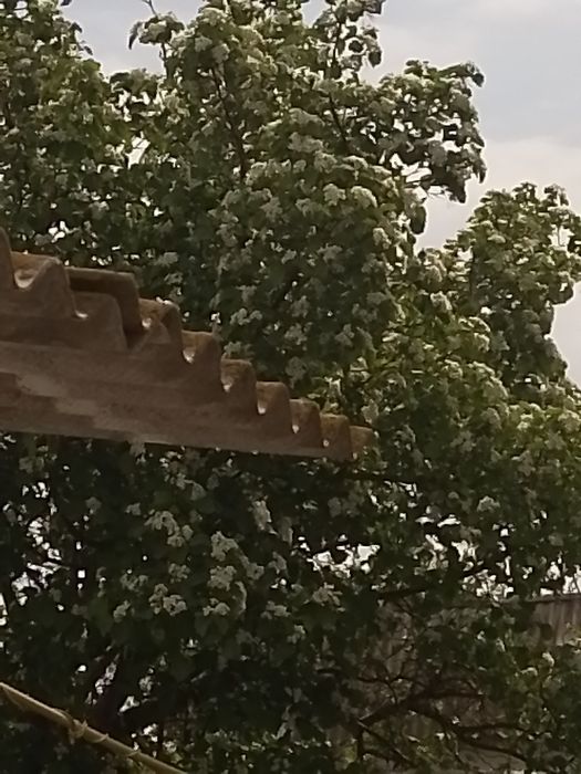 Гараж в центре поселка Нокина(Опытном)