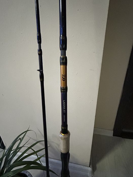 Daiwa Laguna 20-60 gr - 3m