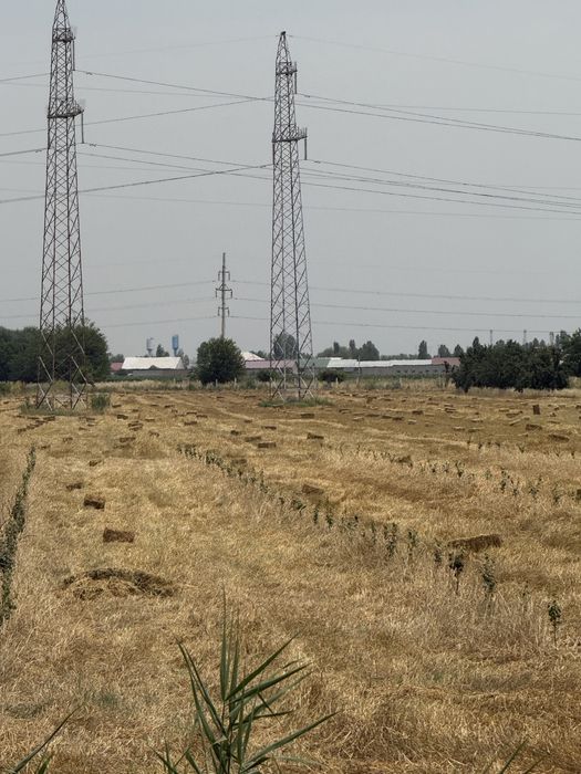 Арпа прес сотилади