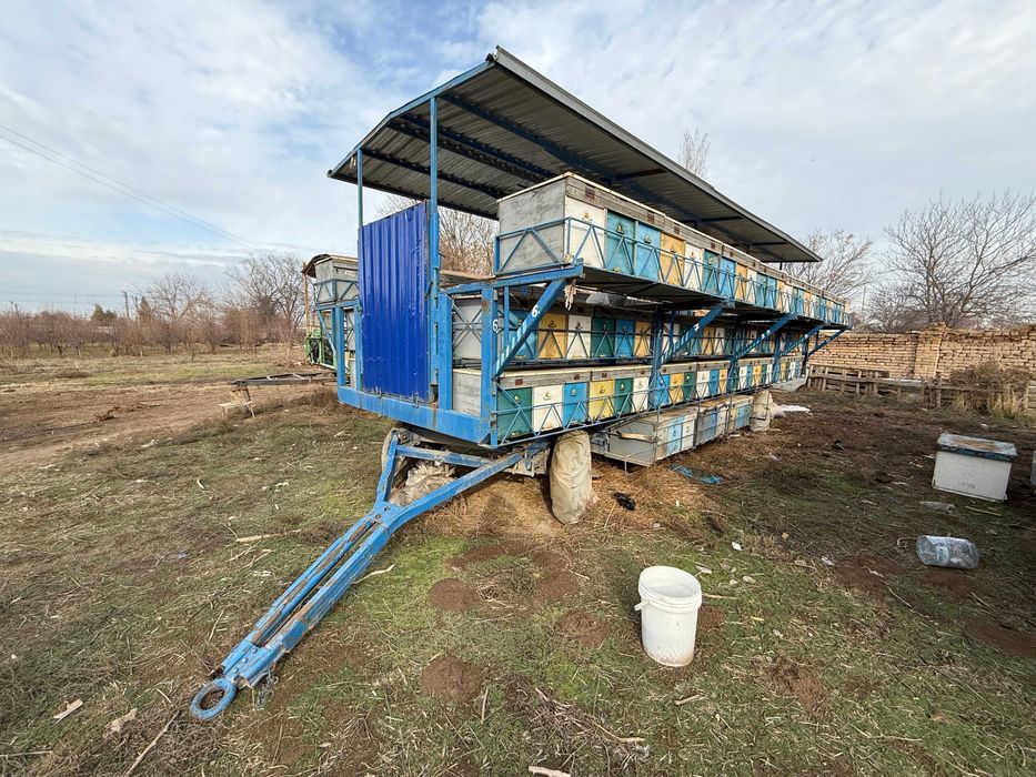 Продается пасека с прицепом