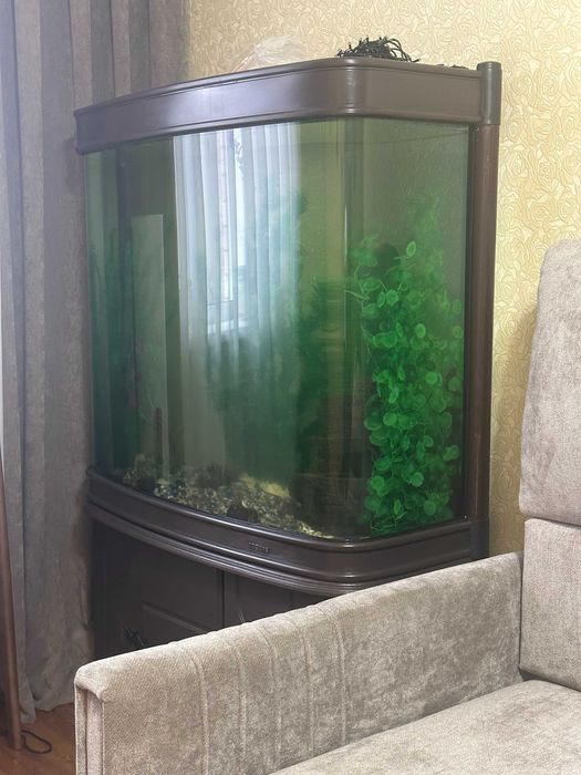 Аквариумы 360 и 600 л