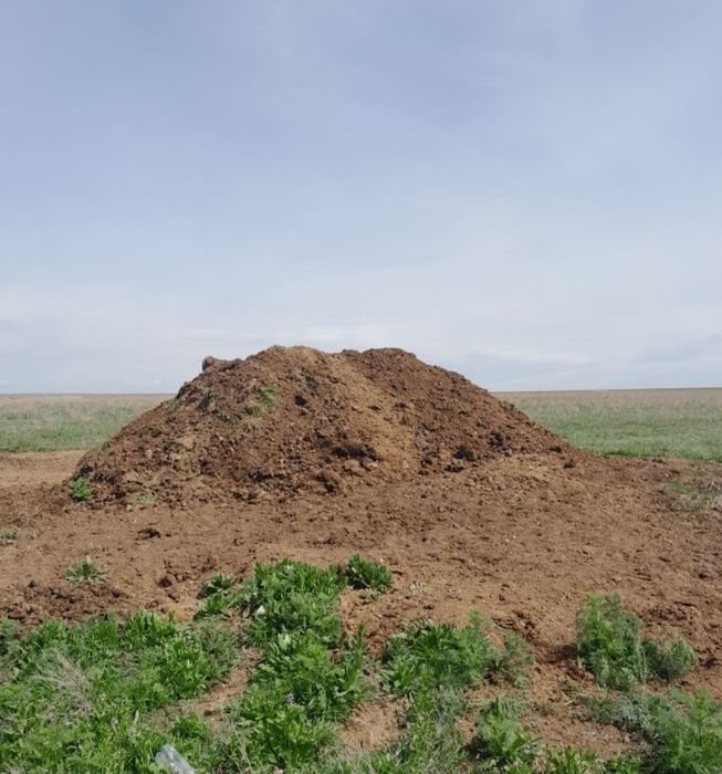 Навоз сатам қорда