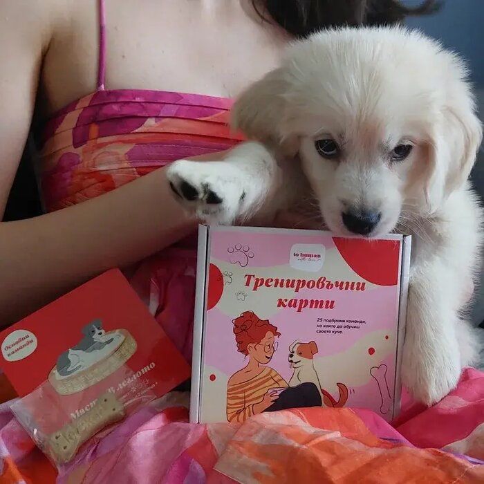Тренировъчни карти за куче