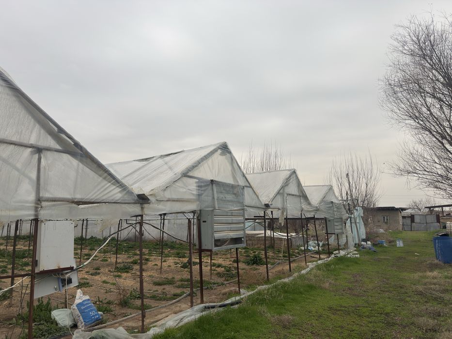 Yer arendaga beriladi