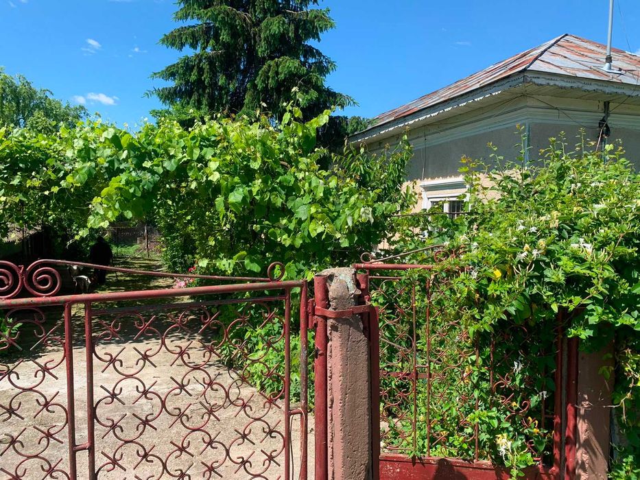 teren cu casa intravilan de vanzare