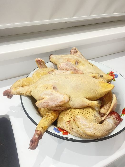 Индаутка тушкасы свежый дамашный