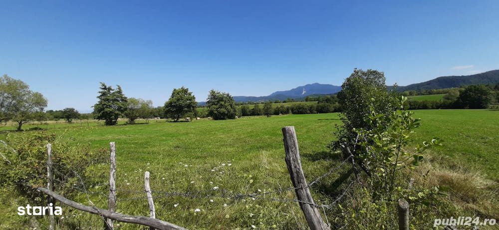 Teren 9350 mp Bran Livada, Extravilan