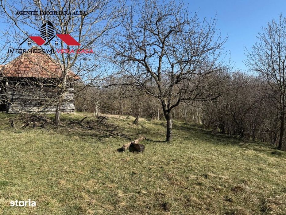Casa si anexe cu un teren de 7701 mp de vanzare in Stauini  Jud Alba