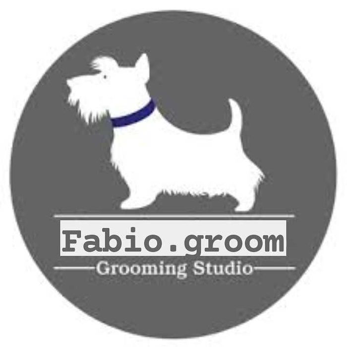 Coafor căței , grooming canin.