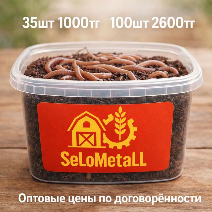 Черви Для Рыбалки