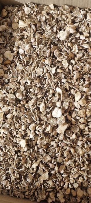 Суха манатарка. Сухи Гъби .Трюфел Пачи крак Трюфел Челадинка и Булка