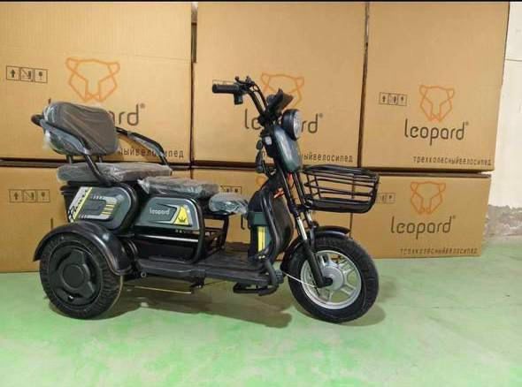 Электротрицикл муравейник