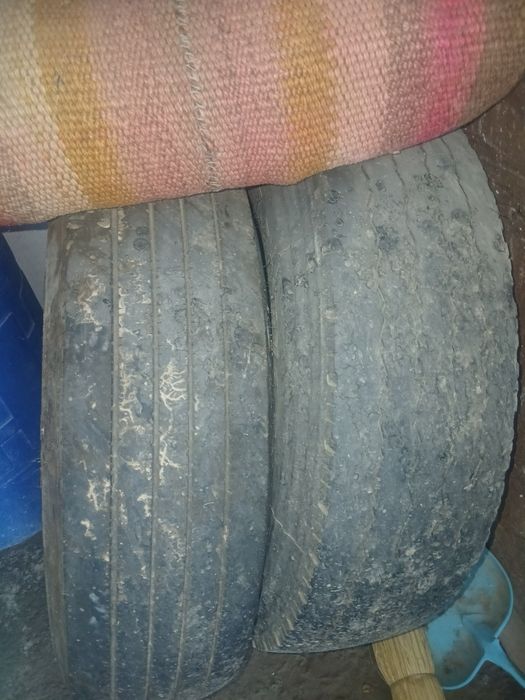Isuzu baloni 2 ta  xamma narsasi ichida