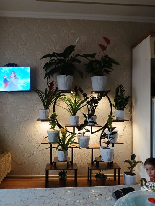 Подставка для цветов || с лампой для растений