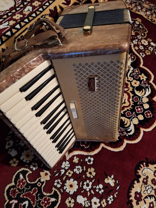 Acordeon Timiș Select