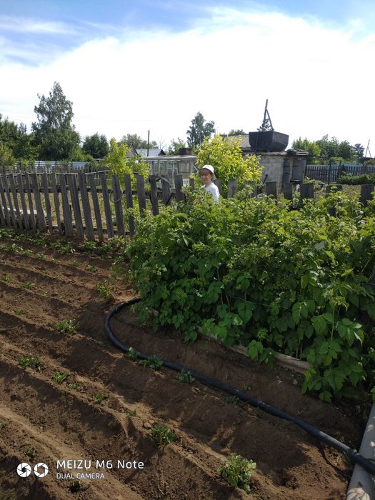 Продаю дачу цветущий сад