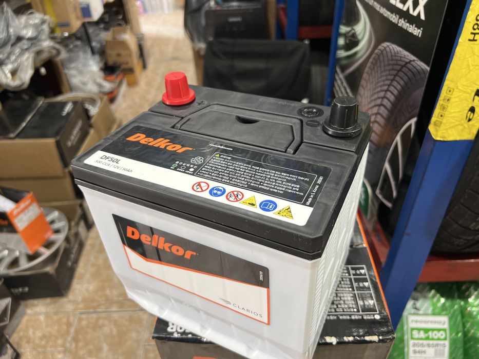 Delkor hamma razmerlaridan bor