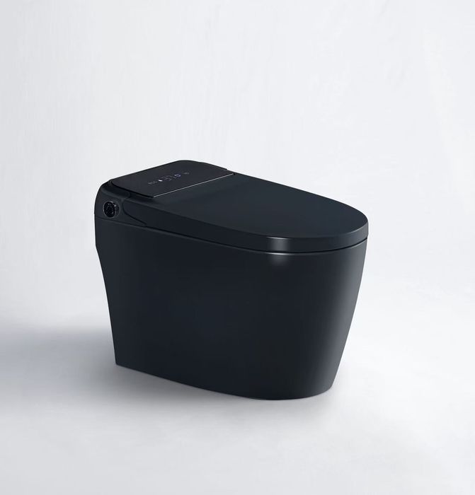 Умный смарт унитаз биде