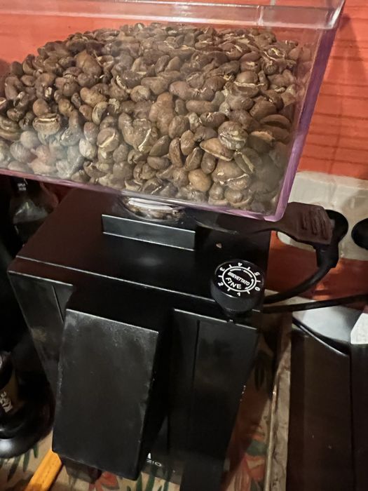 Eureka Mignon Silenzio