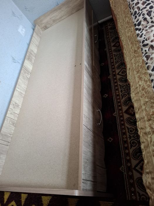 Detski kravat holati qurt