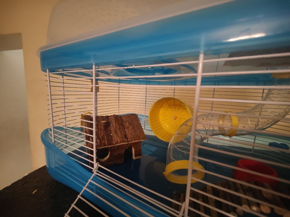 Cusca hamster 2 nivele