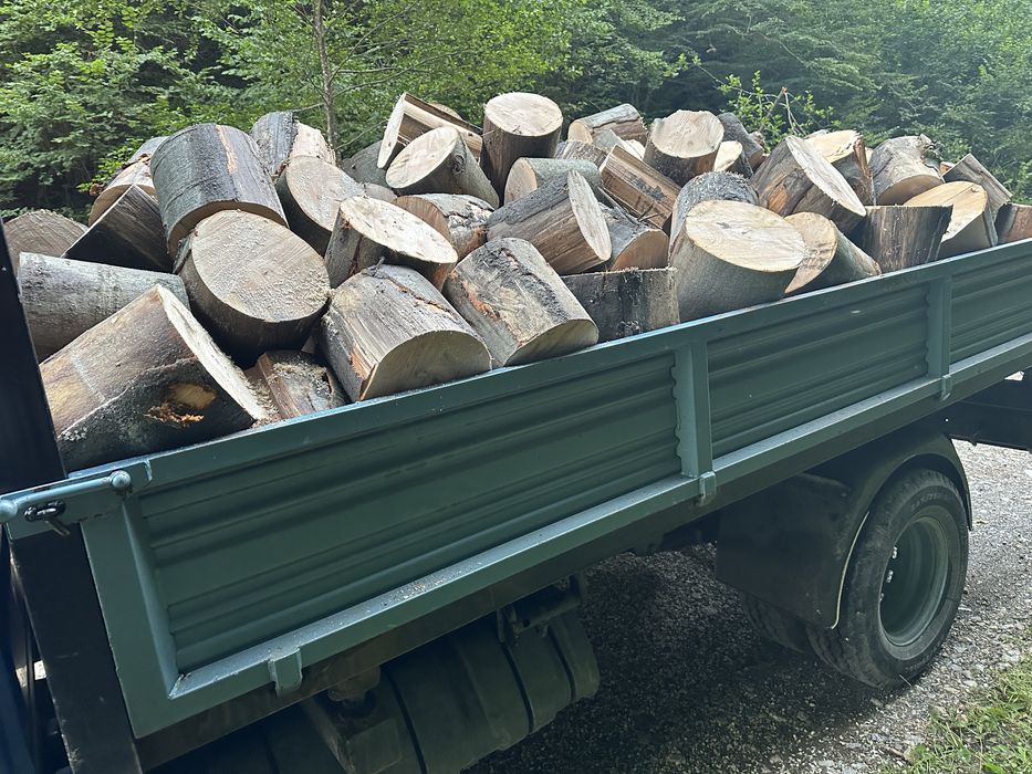 Lemn de foc BOCI BUTUCI