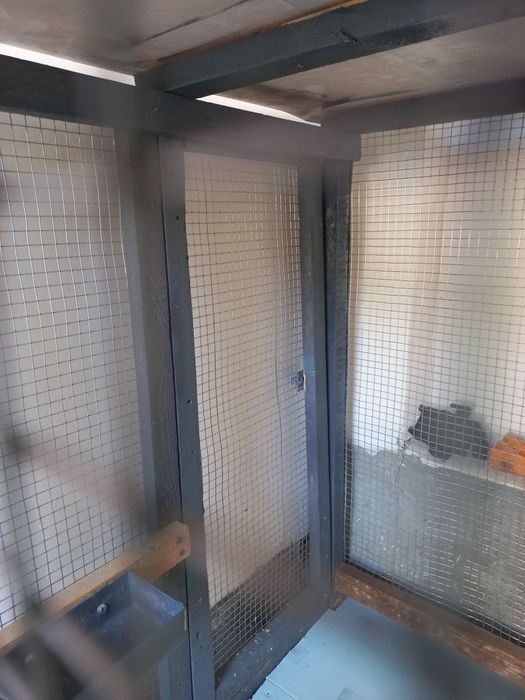 Qafas boyi 1m uzunligi 1.20m Eni 75sm  mustahkam tuvuq xorozlar uchun.