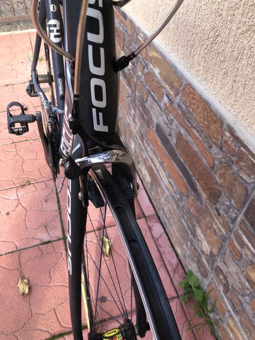 Semicursiera carbon Focus