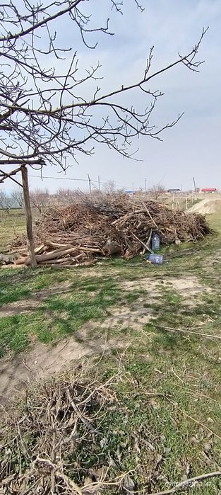 Утун бор келиштириб бераман