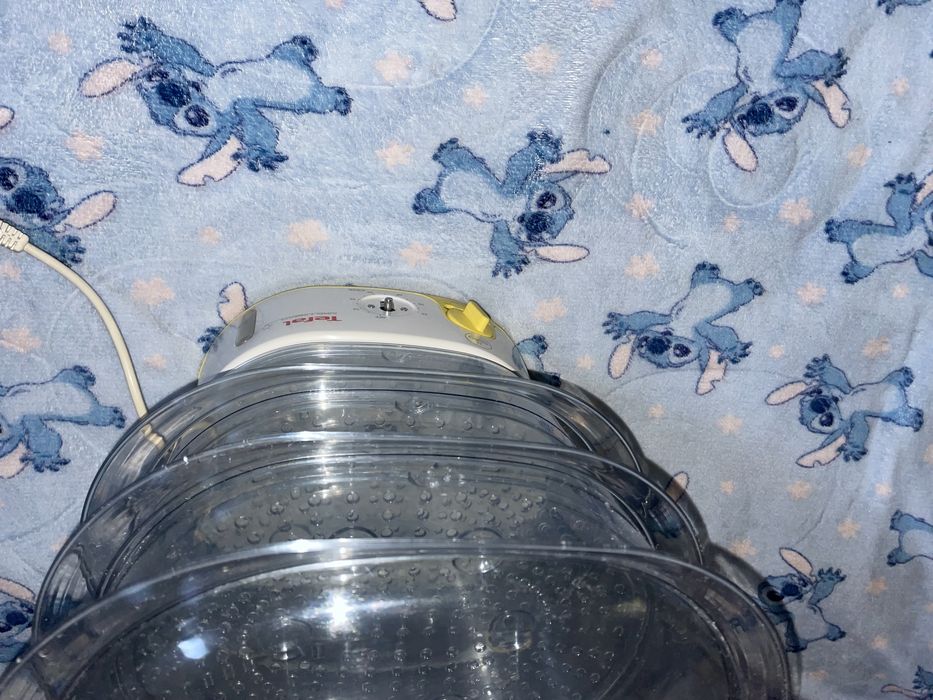 Aparat de gătit cu aburi Tefal de vânzare