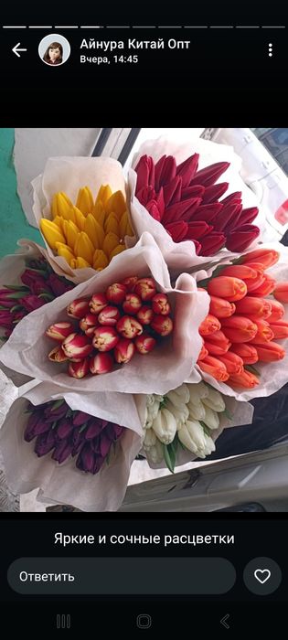 Белорусские тюльпаны