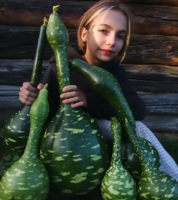 Лагенария «Гусь в яблоках» семена