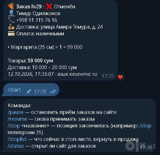 Создание сайтов, Telegram-ботов и Mini-Apps