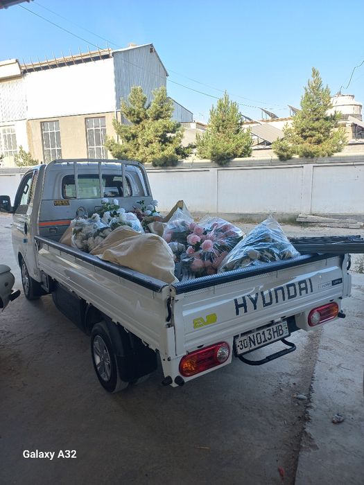 Бонго юк ташиш хизмати перевозка грузов