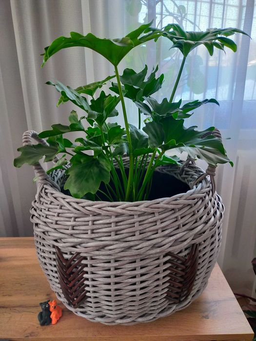Продам кашпо из ротанга