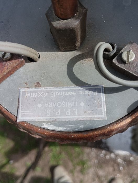 Месинг(меден)полюлей