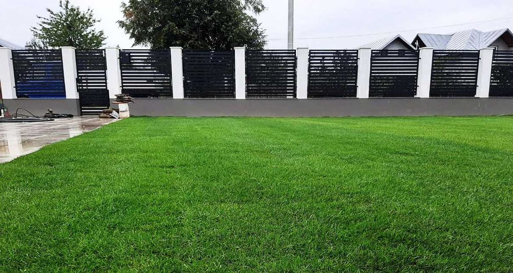 Gazon Rulou Dens și Rezistent – Ideal pentru Curți sau Grădini