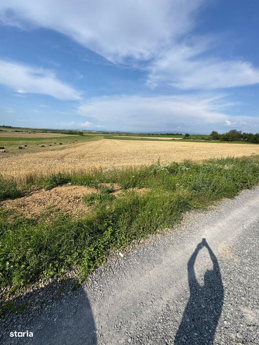 Teren intravilan de vanzare – Viile Satu Mare