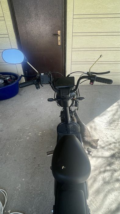 Продается Leopard Max E8