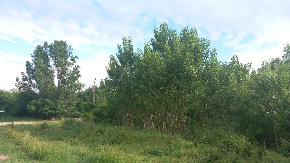 Teren intravilan 1.676  mp – Ungurenii Mici, Ghercești, Dolj |