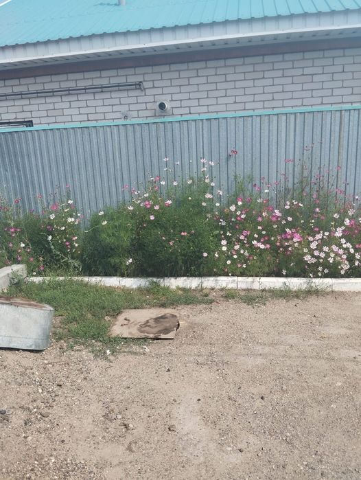Продам забор недорого
