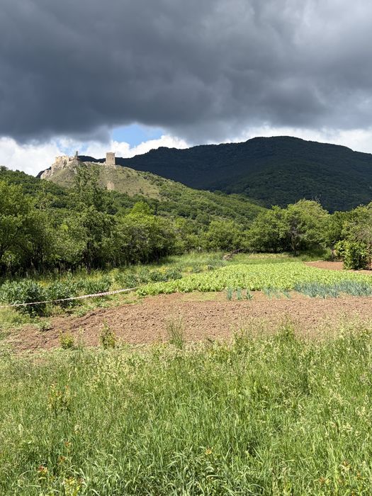 Vand casa in Coltesti