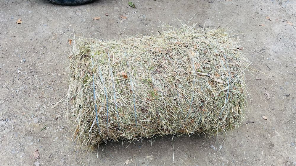 Baloți de fân rotunzi