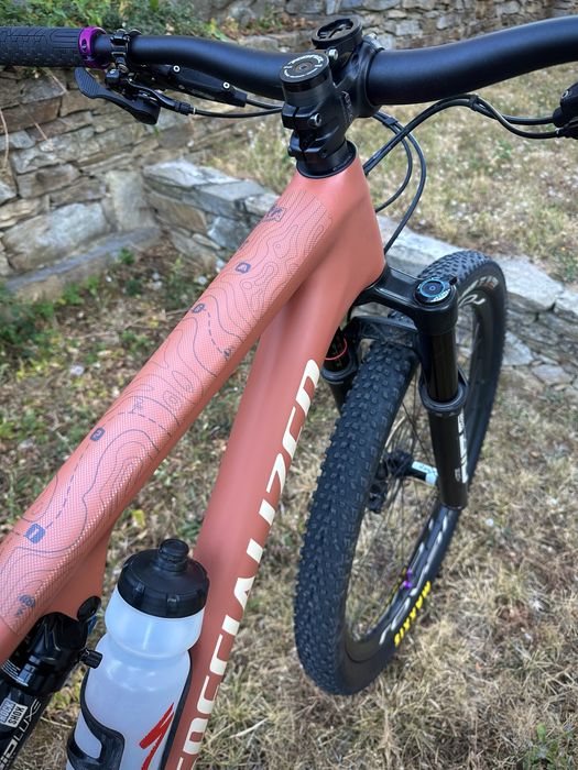 Specialized Epic Evo L