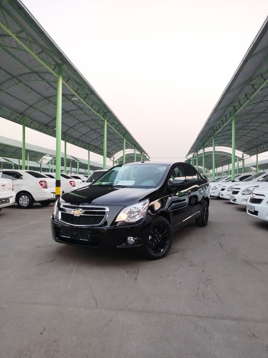 Кобальт МСМ Stayle 25/2026