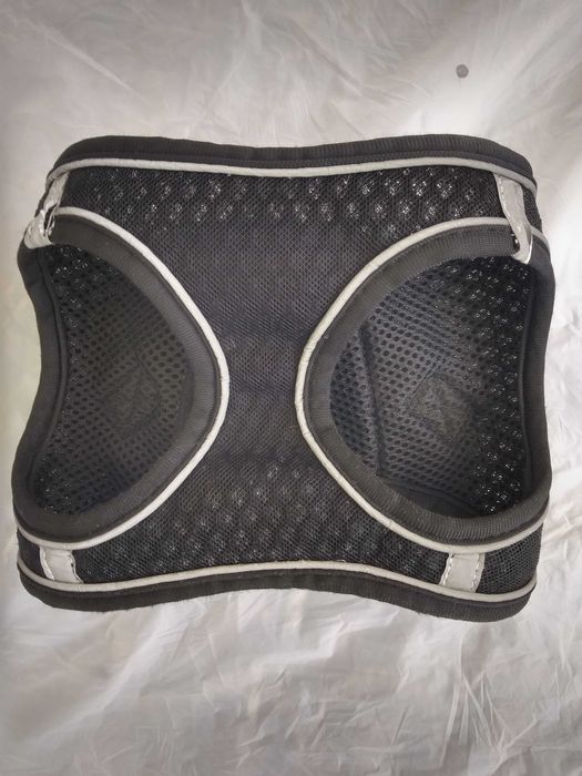 Неопренова жилетка и нагръдник за малко куче.