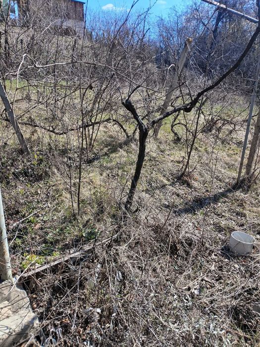 544-Продава се парцел от 809 кв.м. в местността "Изгрев"!